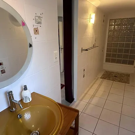 Villa Climatisee 4 Avec Piscine Privee, Wifi Et Animaux Admis - Fr-1-768-91