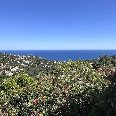 Climatisee 4 Avec Piscine Privee, Wifi Et Animaux Admis - Fr-1-768-91 Villa Saint-Peïre-sur-Mer